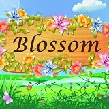 Blossom