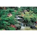 Zen Garden Wall Mural - 8'3
