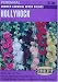 Hollyhock Summer Carnival Mixed Color Seeds 35 Seeds