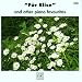 Fur Elise & Other Piano Favorites