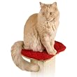 PLATAFORMA de MADERA con COJIN para COLOCAR sobre el POSTE de SMART CAT