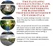 Book The Fantastic Generate Extra Cash, Success Principles and Biz Networking for Badminton Trophies Businesses 3 CD Combo Pack