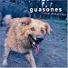 Guasones