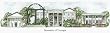 University of Georgia - Collegiate Scenes - 9" x 18"