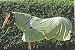 PolyMax Combo Fly Sheet