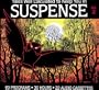 Tales Well Calculated to Keep You In Suspense - Volume 2