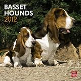 Basset Hounds