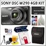 Sony Cyber-shot DSC-W290/B 12.1 MP Digital Camera in Black + Deluxe 4GB Accessory Kit