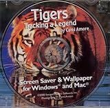 Tigers : Tracking A Legend by Carole Amore (Jewel Case)