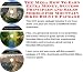 Book The Mega How To Earn Extra Money, Success Principles and Sales Models for Mountain Bikes Biz 3 CD Package