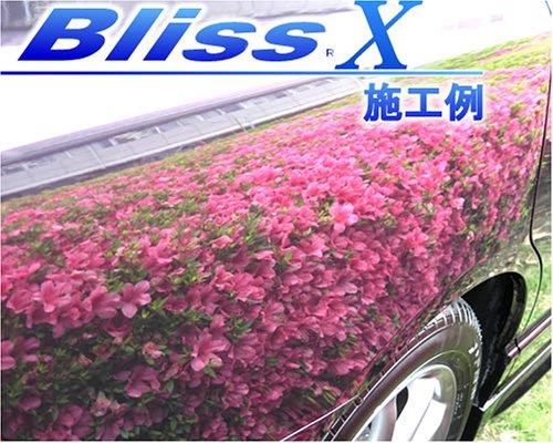 ブリスジャパンカンパニー 高密度ガラス繊維系ポリマー ブリスエックス 280ml BX280 ブリスジャパンカンパニー 高密度ガラス繊維系ポリマー ブリスエックス 280ml BX280