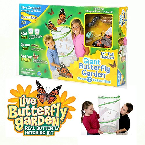 Insect Lore Giant Butterfly Garden w/ Bonus Figures and Coupon for Caterpillars