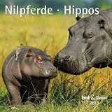 Produkt-Bild: Nilpferde - Hippos 2013. Trends & Classics Kalender