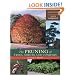 The Pruning of Trees, Shrubs, and Conifers
