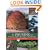 The Pruning of Trees, Shrubs, and Conifers
