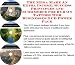 Search : The Mega Make An Extra Income, Success Principles and eCommerce for Rub On Tattoos Web Businesses 3 CD Power Pack