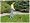 Scotts 2000-20 20-Inch Classic Push Reel Lawn Mower