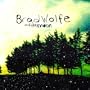 Brad Wolfe and the Moon