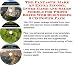 Search : The Fantastic Make An Extra Income, Inner Game and Sales Models for Photo Boxes Web Businesses 3 CD Power Pack