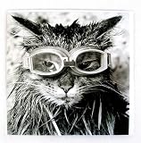GOGGLES! by Bart Harris GREETING CARD