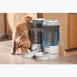 Large Autopetfeeder