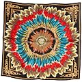 Echo Feather Pow Wow Women's Scarf