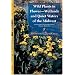 Wild Plants in Flower--Wetlands and Quiet Waters of the Midwest