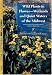 Wild Plants In Flower--Wetlands And Quiet Waters Of The Midwest (Wild Plants in Flower) by Robert O. Petty ISBN 0253217660
