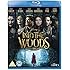 Into The Woods [Blu-ray] [Region Free]