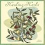 Healing Herbs 2011 Wall Calendar