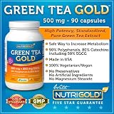 Green Tea Extract GOLD - 500 mg with 90% Polyphenols, 80% Catechins, and 50% EGCG (90 Vegetarian Capsules)