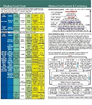 Acid Alkaline Food Chart inch x inch