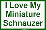 I Love My Miniature Schnauzer Bumper Sticker