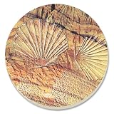 CounterArt Shell Fossils Absorbent Coasters, Set of 4