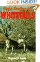 Stand Hunting for Whitetails