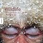 Wildlife Fotografien des Jahres, Portfolio.22 : 20&hellip von Natural Natural History Musuem