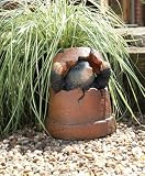 Mole Flower Pot