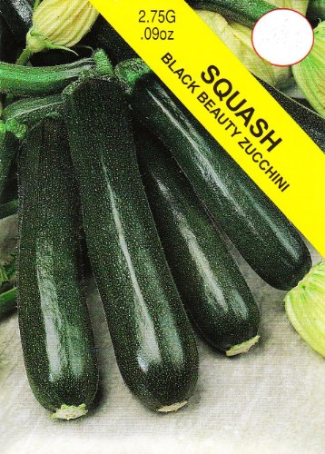 Black Beauty Zucchini Squash
