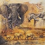 Safari II Gary Blackwell 12x12