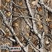 Legendary Whitetails Timber Line Insulated Softshell Field Large