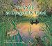 Brian Ellis: The Web at Dragonfly Pond