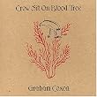 Crow Sit on Blood Tree