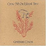 Crow Sit on Blood Tree an album by Graham Coxon