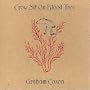 Crow Sit on Blood Tree