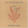 Crow Sit on Blood Tree