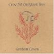 Crow Sit on Blood Tree