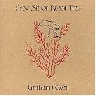 Crow Sit on Blood Tree