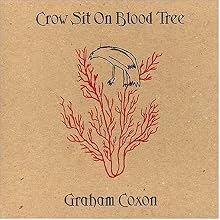 Crow Sit on Blood Tree
