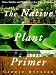 Native Plant Primer, The: Trees, Shrubs, and Wildflowers for Natural Gardens