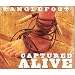 Image of Captured Alive (IMPORT)